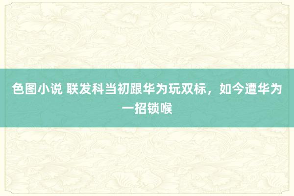 色图小说 联发科当初跟华为玩双标，如今遭华为一招锁喉