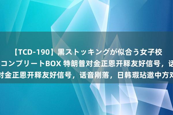 【TCD-190】黒ストッキングが似合う女子校生は美脚ニューハーフ コンプリートBOX 特朗普对金正恩开释友好信号，话音刚落，日韩瑕玷邀中方对话