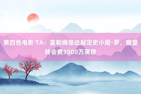 第四色电影 TA：富勒姆接近敲定史小姐-罗，瞻望转会费3500万英镑