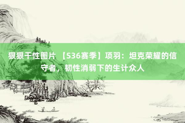 狠狠干性图片 【S36赛季】项羽：坦克荣耀的信守者，韧性消弱下的生计众人