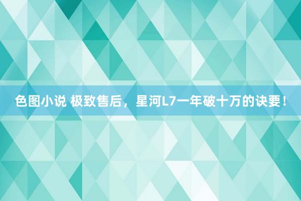 色图小说 极致售后，星河L7一年破十万的诀要！