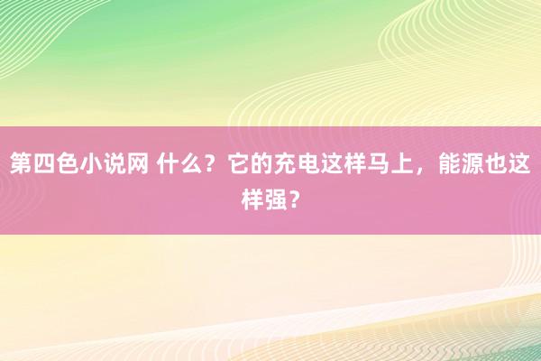 第四色小说网 什么？它的充电这样马上，能源也这样强？