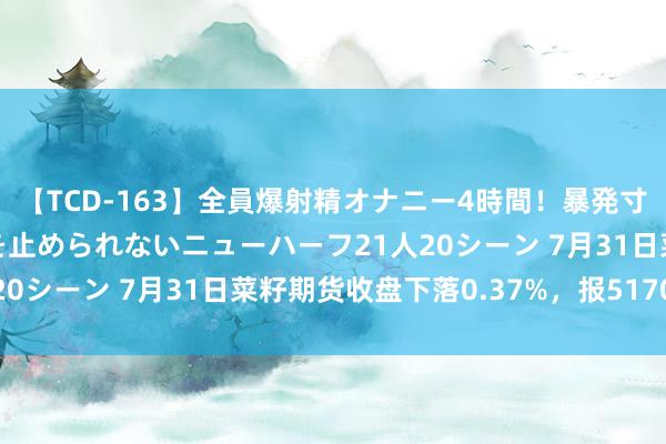 【TCD-163】全員爆射精オナニー4時間！暴発寸前！！ペニクリの疼きを止められないニューハーフ21人20シーン 7月31日菜籽期货收盘下落0.37%，报5170元