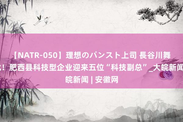 【NATR-050】理想のパンスト上司 長谷川舞 安徽首批！肥西县科技型企业迎来五位“科技副总”_大皖新闻 | 安徽网