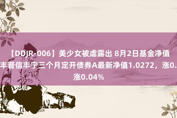 【DDJR-006】美少女被虐露出 8月2日基金净值：汇丰晋信丰宁三个月定开债券A最新净值1.0272，涨0.04%