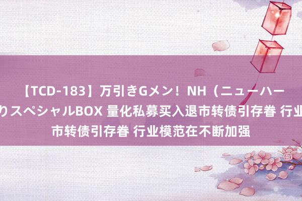 【TCD-183】万引きGメン！NH（ニューハーフ）ペニクリ狩りスペシャルBOX 量化私募买入退市转债引存眷 行业模范在不断加强