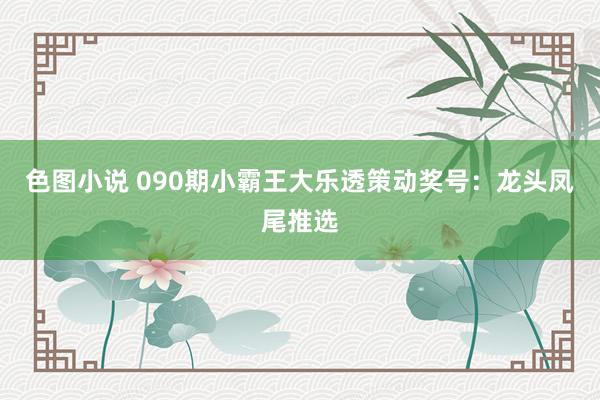 色图小说 090期小霸王大乐透策动奖号：龙头凤尾推选