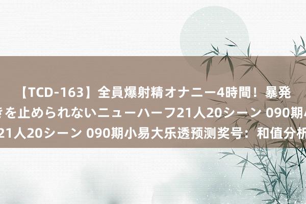 【TCD-163】全員爆射精オナニー4時間！暴発寸前！！ペニクリの疼きを止められないニューハーフ21人20シーン 090期小易大乐透预测奖号：和值分析