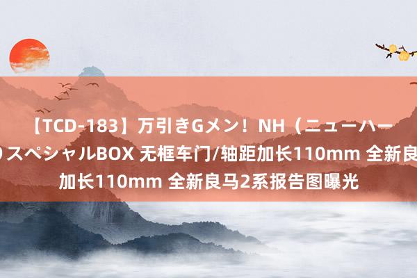 【TCD-183】万引きGメン！NH（ニューハーフ）ペニクリ狩りスペシャルBOX 无框车门/轴距加长110mm 全新良马2系报告图曝光