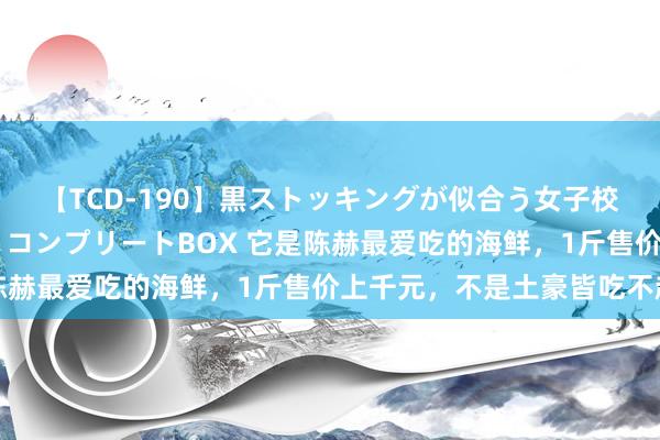 【TCD-190】黒ストッキングが似合う女子校生は美脚ニューハーフ コンプリートBOX 它是陈赫最爱吃的海鲜，1斤售价上千元，不是土豪皆吃不起