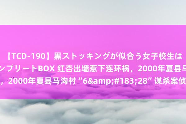 【TCD-190】黒ストッキングが似合う女子校生は美脚ニューハーフ コンプリートBOX 红杏出墙惹下连环祸，2000年夏县马沟村“6&#183;28”谋杀案侦破始末