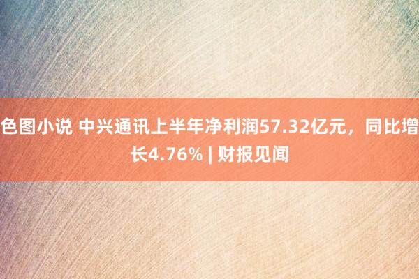 色图小说 中兴通讯上半年净利润57.32亿元，同比增长4.76% | 财报见闻