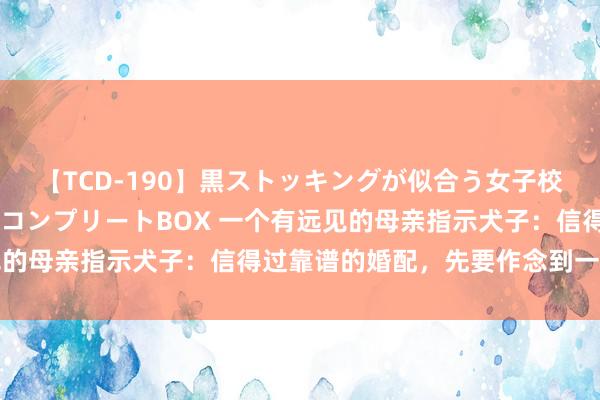 【TCD-190】黒ストッキングが似合う女子校生は美脚ニューハーフ コンプリートBOX 一个有远见的母亲指示犬子：信得过靠谱的婚配，先要作念到一个前提