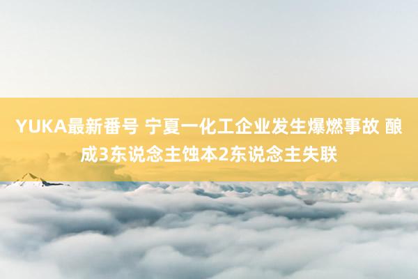 YUKA最新番号 宁夏一化工企业发生爆燃事故 酿成3东说念主蚀本2东说念主失联