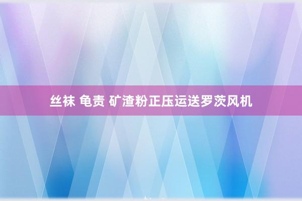 丝袜 龟责 矿渣粉正压运送罗茨风机