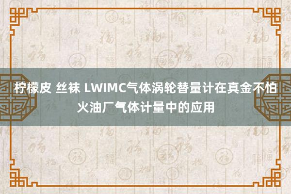 柠檬皮 丝袜 LWIMC气体涡轮替量计在真金不怕火油厂气体计量中的应用