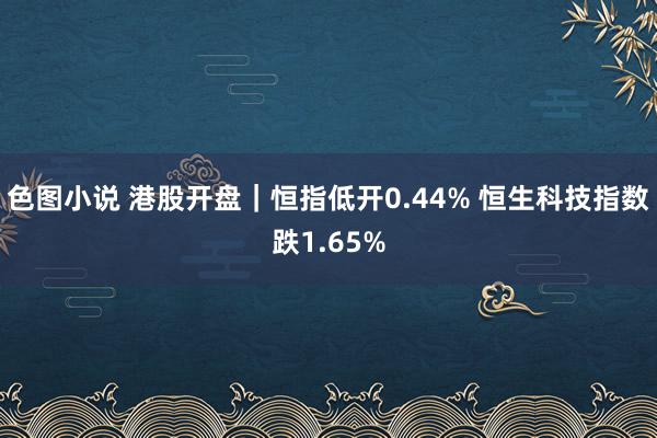 色图小说 港股开盘｜恒指低开0.44% 恒生科技指数跌1.65%