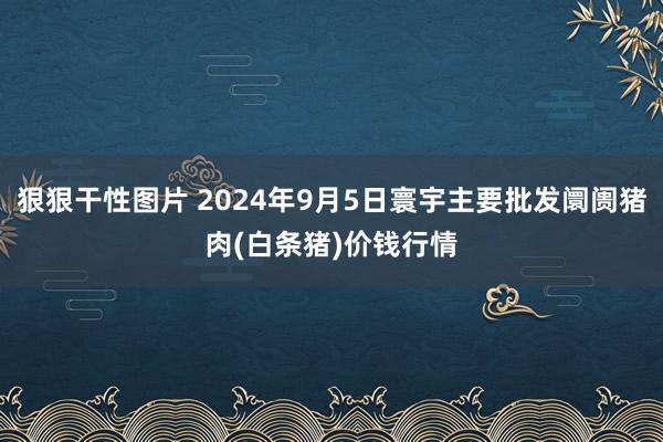 狠狠干性图片 2024年9月5日寰宇主要批发阛阓猪肉(白条猪)价钱行情