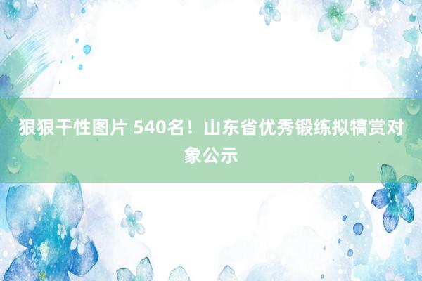 狠狠干性图片 540名！山东省优秀锻练拟犒赏对象公示