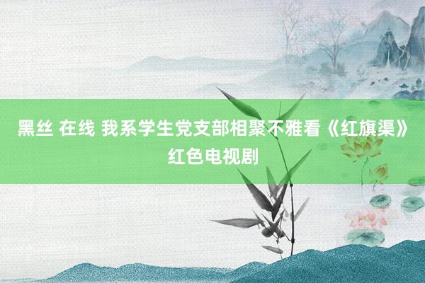 黑丝 在线 我系学生党支部相聚不雅看《红旗渠》红色电视剧