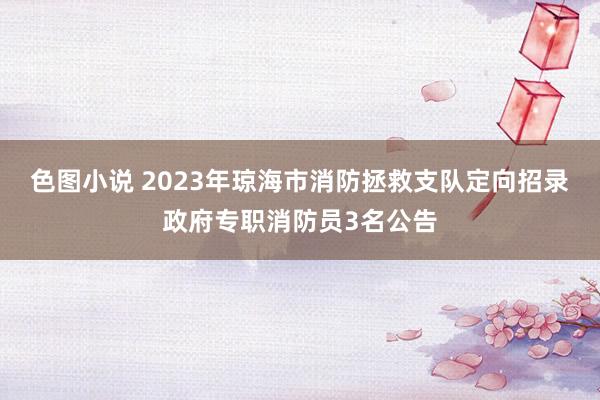 色图小说 2023年琼海市消防拯救支队定向招录政府专职消防员3名公告