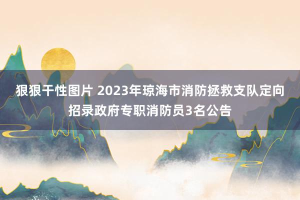 狠狠干性图片 2023年琼海市消防拯救支队定向招录政府专职消防员3名公告