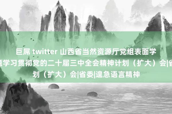 巨屌 twitter 山西省当然资源厅党组表面学习中心组召开专题学习贯彻党的二十届三中全会精神计划（扩大）会|省委|遑急语言精神