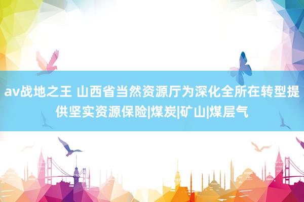 av战地之王 山西省当然资源厅为深化全所在转型提供坚实资源保险|煤炭|矿山|煤层气